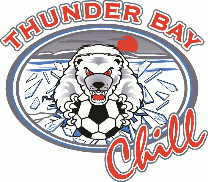 thunder bay chill 2000-pres primary Logo t shirt iron on transfers